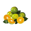 quat-tac-dong-lanh